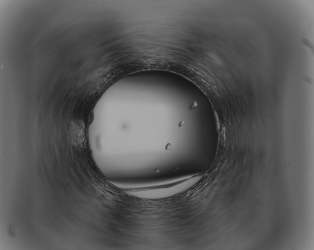 X0000091670963200709131525