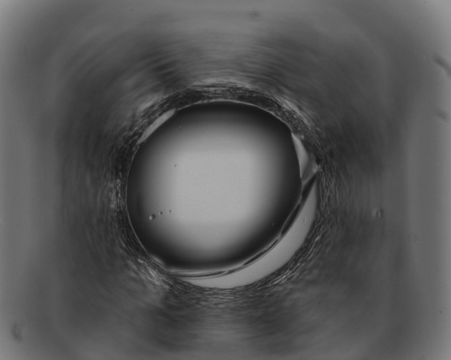 X0000091670965200709131525