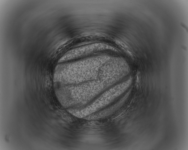 X0000091670966200709131525