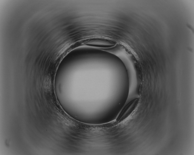 X0000091670969200709131525