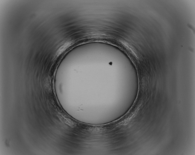 X0000091670970200709131525