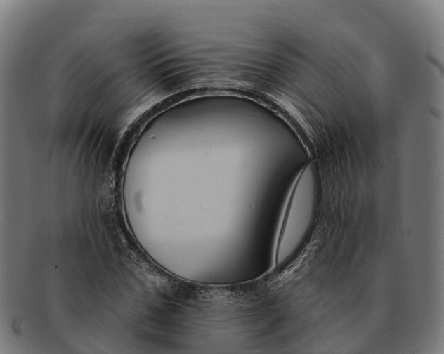 X0000091670971200709131525