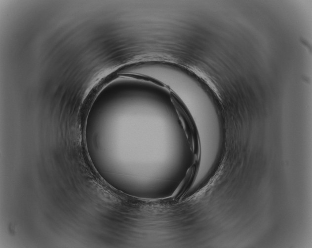 X0000091670973200709131525