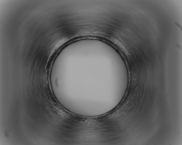 X0000091670974200709131525