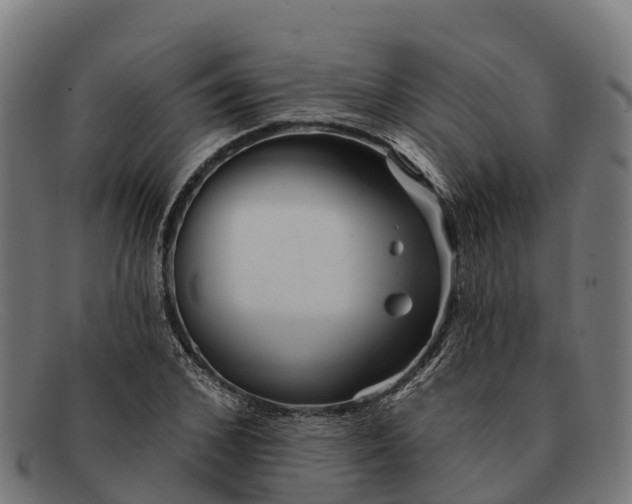 X0000091670976200709131525