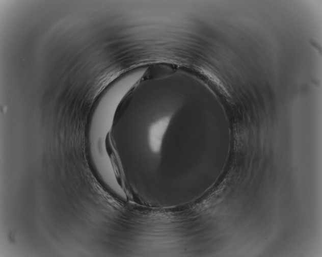 X0000091670977200709131525