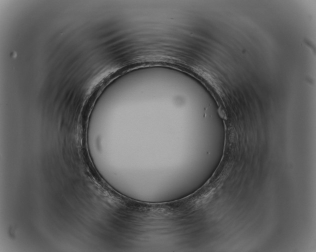 X0000091670979200709131525