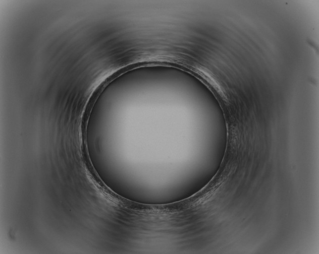 X0000091670980200709131525