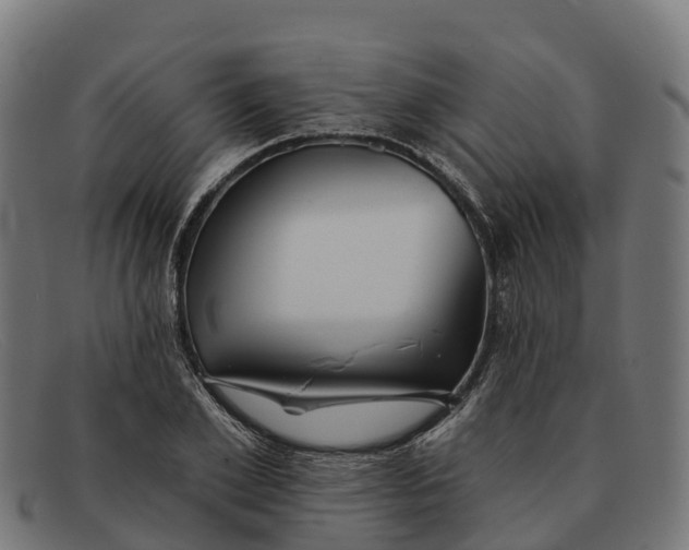 X0000091670981200709131525