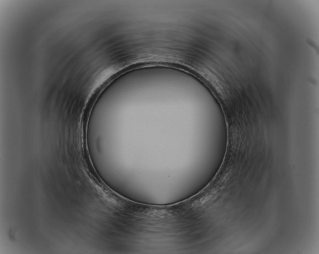 X0000091670982200709131525