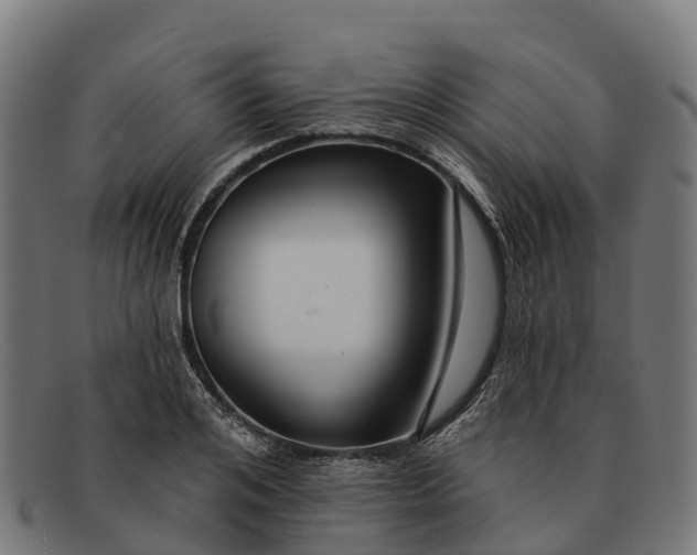 X0000091670984200709131525