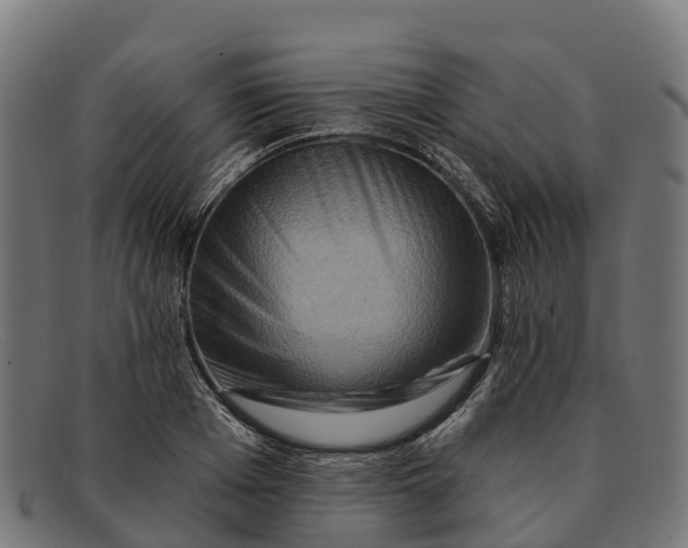 X0000091670985200709131525