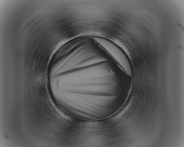 X0000091670989200709131525