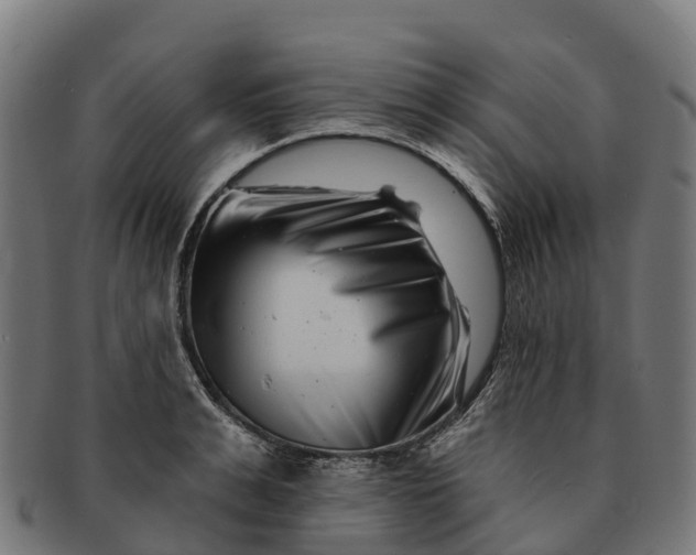 X0000091670991200709131525