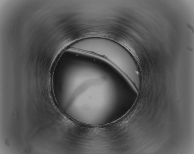 X0000091670992200709131525