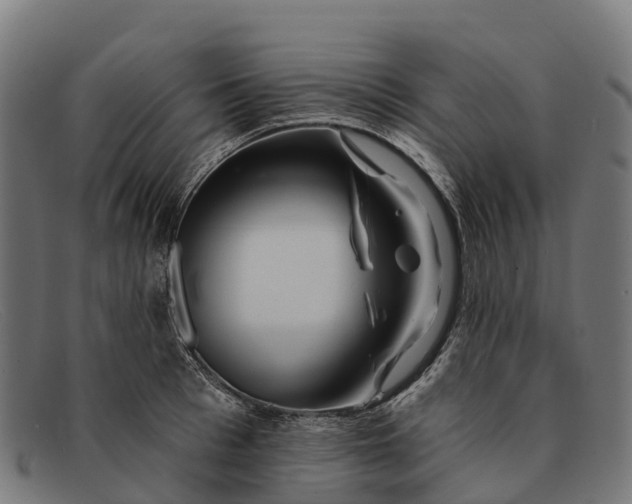 X0000091670993200709131525