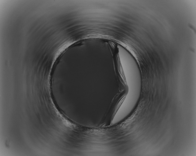 X0000091670995200709131525