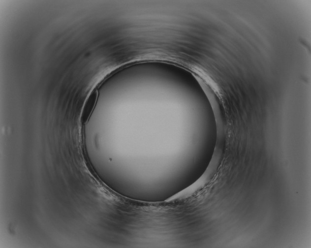 X0000091670996200709131525