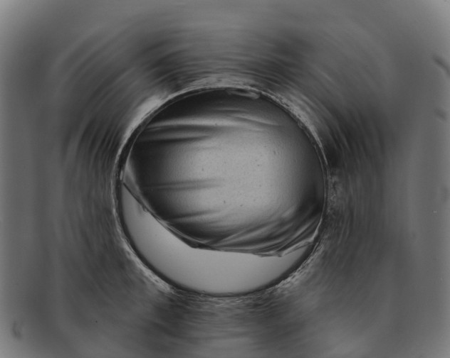 X0000091670997200709131525