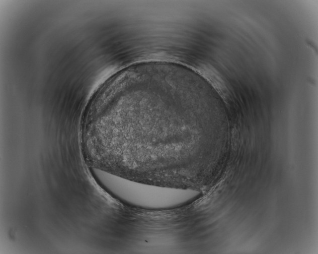 X0000091670998200709131525