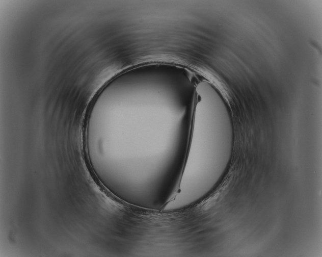 X0000091670999200709131525