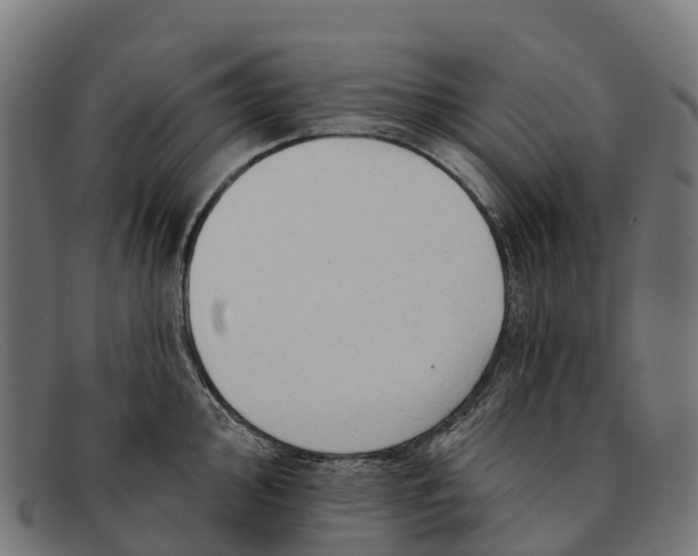 X0000091671000200709131525