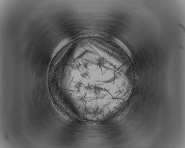 X0000091671002200709131525