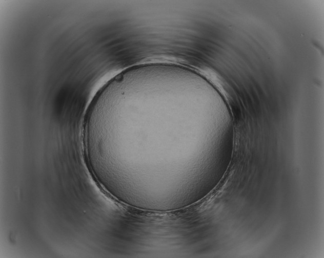 X0000091671003200709131525