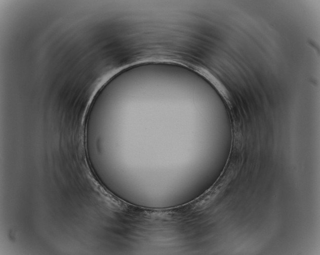 X0000091671004200709131525