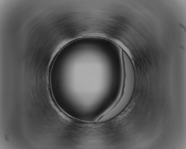 X0000091671005200709131525