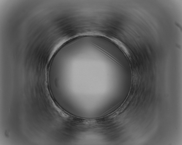 X0000091671006200709131525