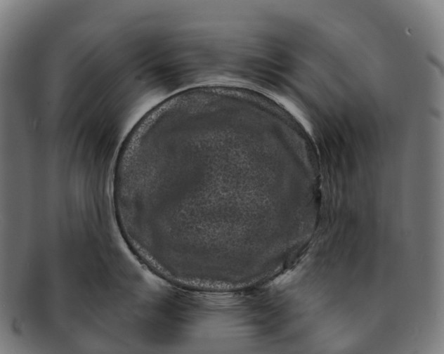 X0000091671007200709131525