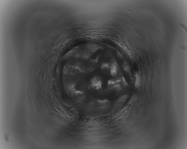 X0000091671009200709131524