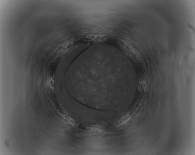 X0000091671010200709131524