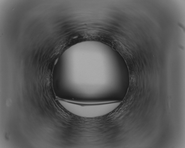 X0000091671012200709131524