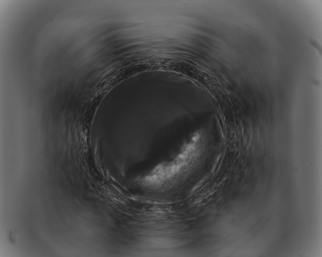 X0000091671013200709131524