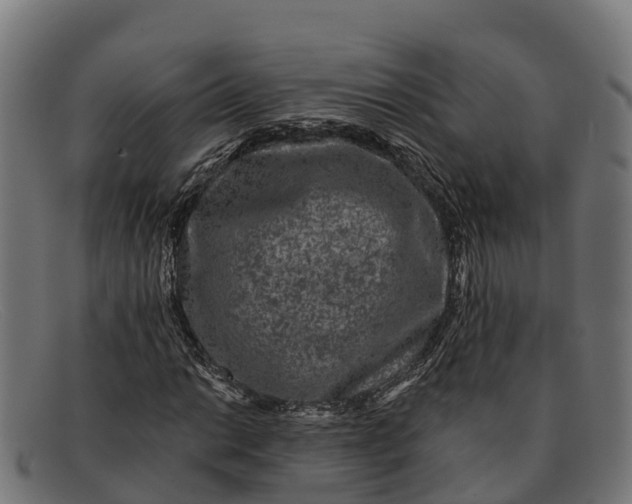 X0000091671014200709131524