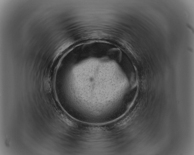 X0000091671018200709131524