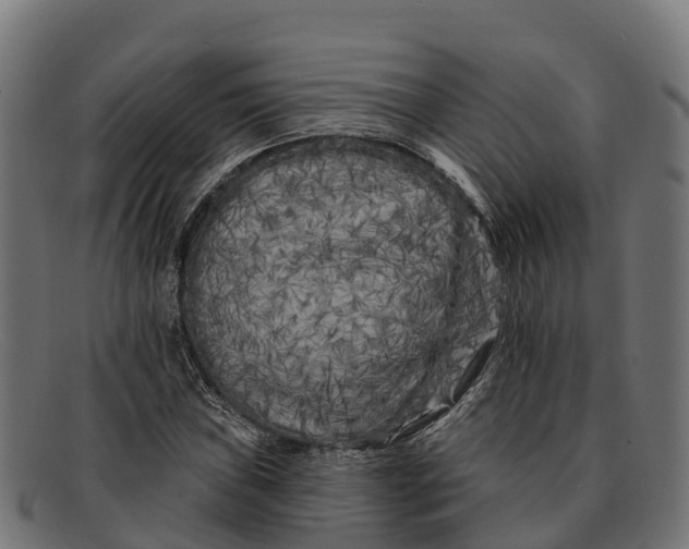 X0000091671019200709131524