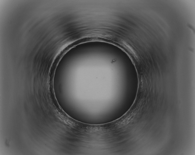 X0000091671020200709131524