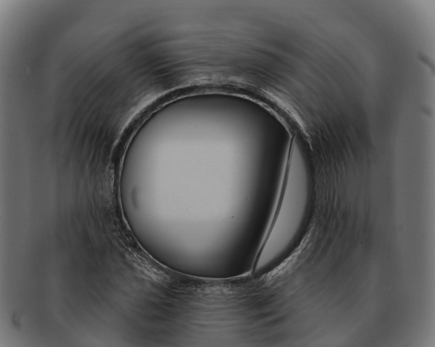 X0000091671021200709131524