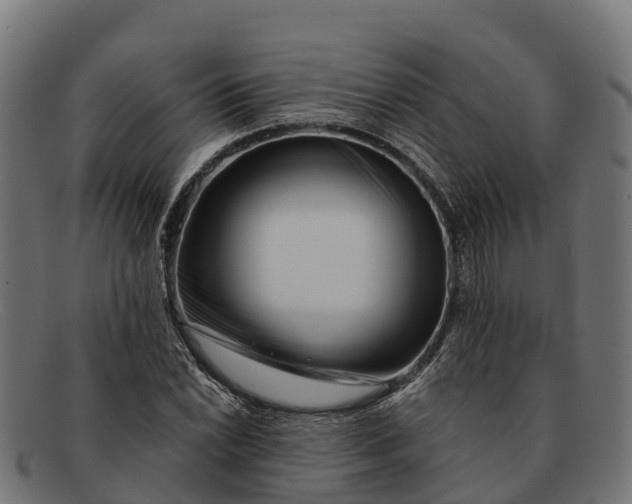 X0000091671022200709131524