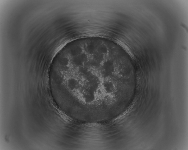 X0000091671023200709131524