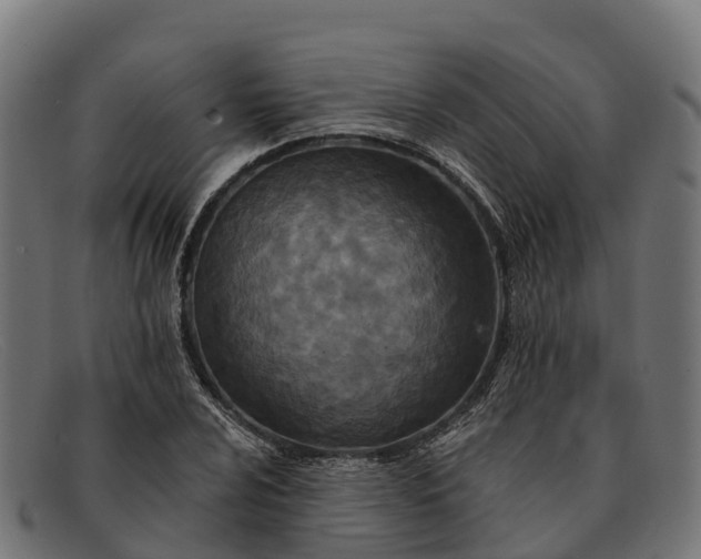 X0000091671024200709131524