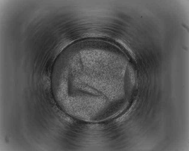 X0000091671025200709131524