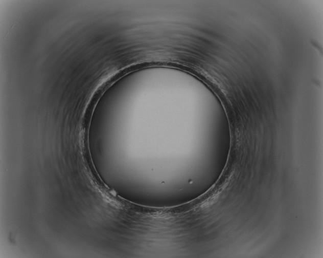 X0000091671029200709131524