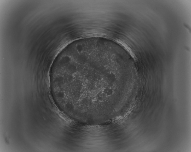 X0000091671031200709131524