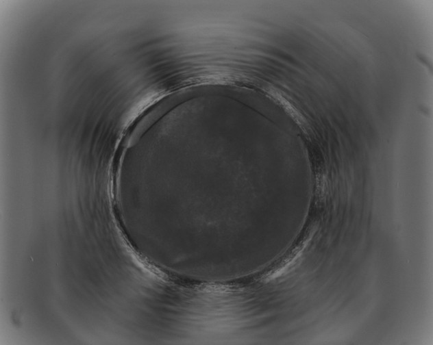 X0000091671034200709131524