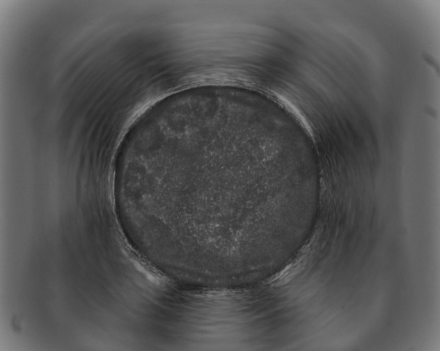 X0000091671035200709131524