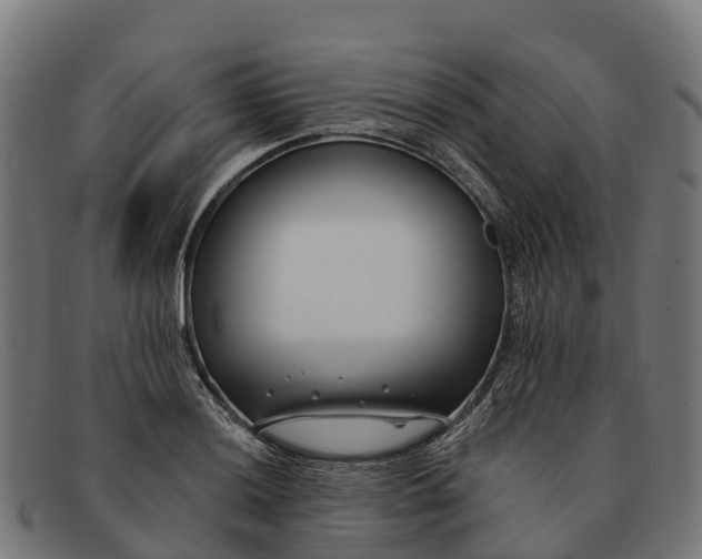 X0000091671036200709131525